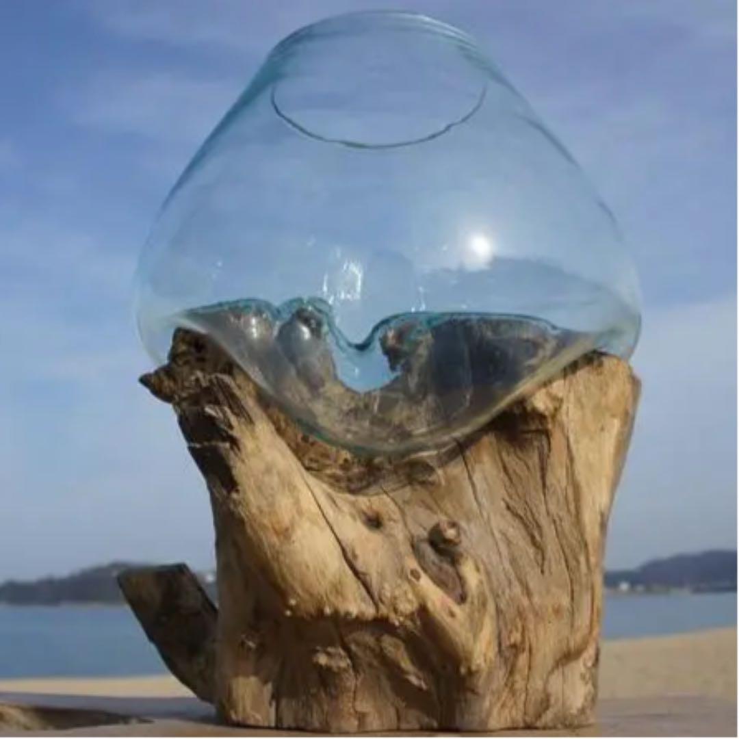 流木ガラス オブジェ超特大LH 花瓶 金魚鉢 ガーデニング テラリウム アート