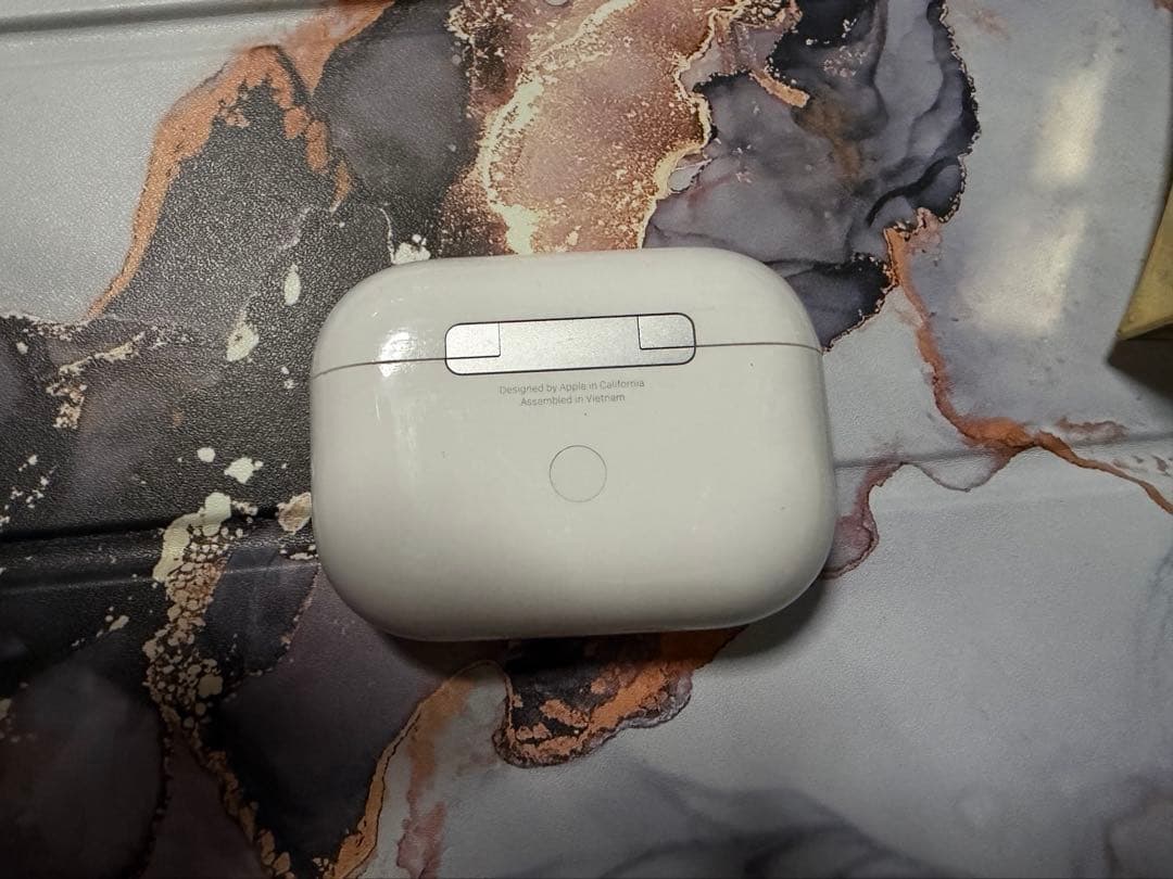 AirPods pro 本体 casetify ケース付き