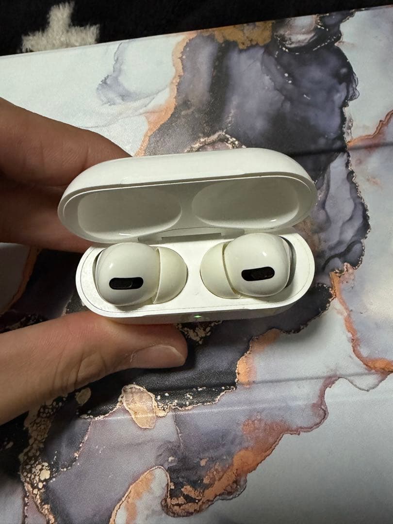 AirPods pro 本体 casetify ケース付き