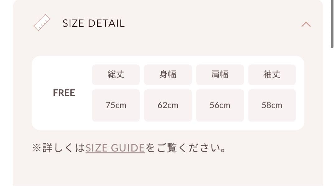 darich DDロゴビジュージップパーカー　グレー