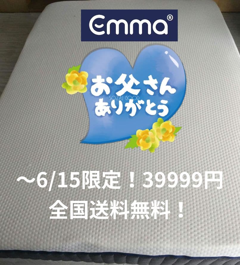 〜6/15限定！父の日セール！エマスリープ エマハイブリッドV2 プラス ダブル