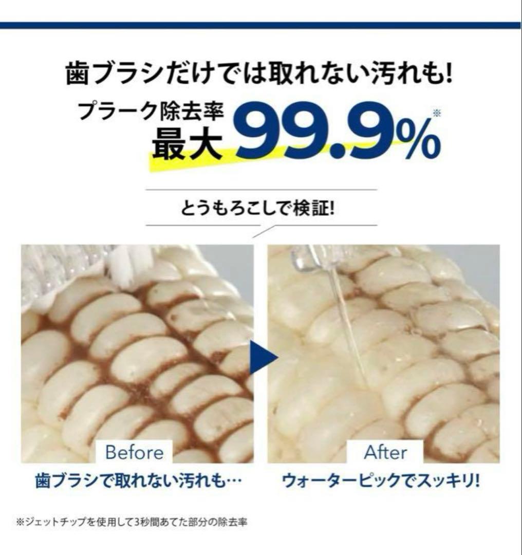 【新品未使用】ウォーターピック・フロッサー　　ヤーマン　WF-11J010-1