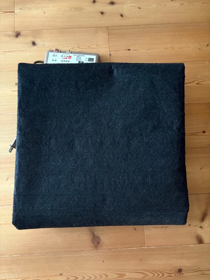 2024年製｜パナソニック DC-15NK ホットカーペット本体