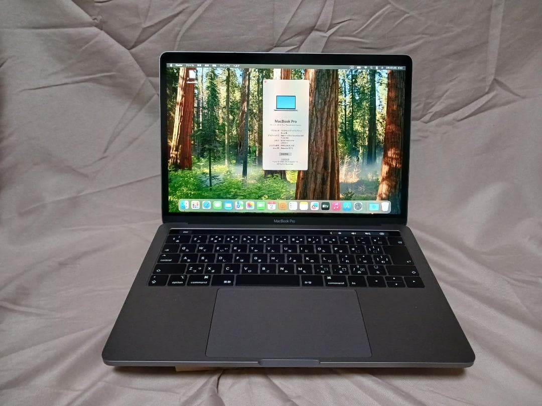 QC1.4G/8GB/128GB仕様　MacBook Pro 13 A2159