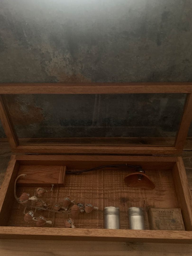 Ｉ・ ガラスケース 桜の木の手彫りシェードランプ