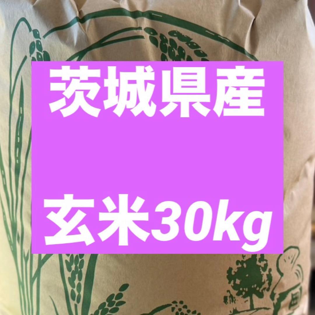 令和7年　茨城県産　数量限定　玄米　30kg 米　お米　ご飯　最安値