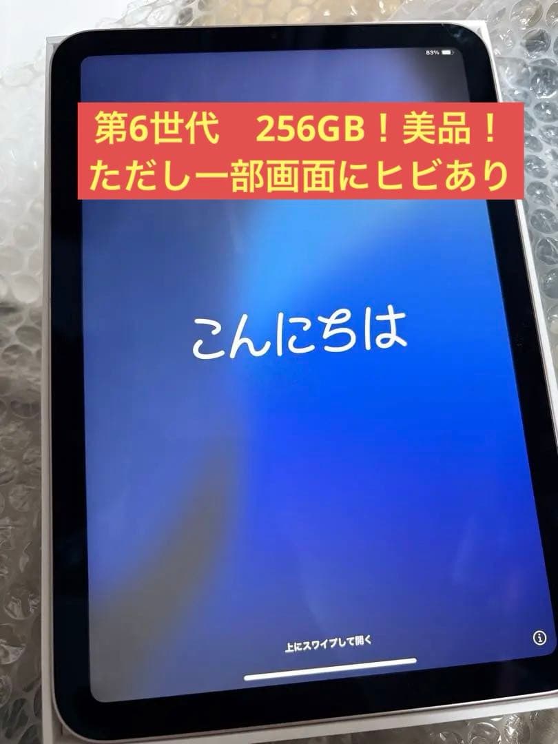 iPad mini 6 256GB Wi-Fiモデル（ガラスに少しヒビ有り）
