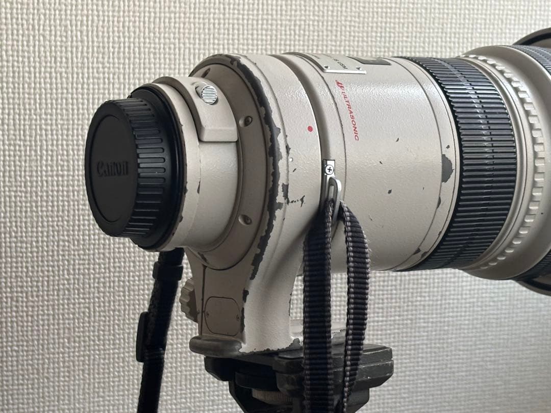 レンズ(単焦点) Canon EF 300mm f/2.8L IS USM
