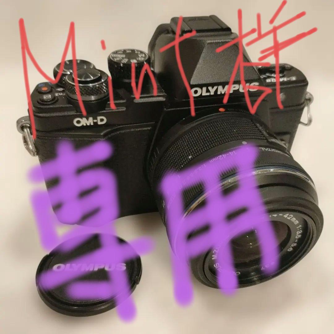 OLYMPUS OM-D E-M10 Mark II 14-42mm【美品】