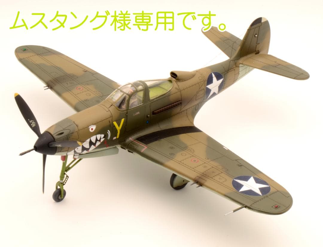 ムスタングです。1/48 P400 P51 2機セット(プラモ 完成品)