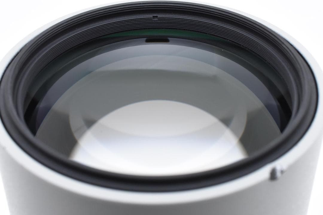 NIKON AF-S NIKKOR 300mm F4D IF-EDレンズ#333