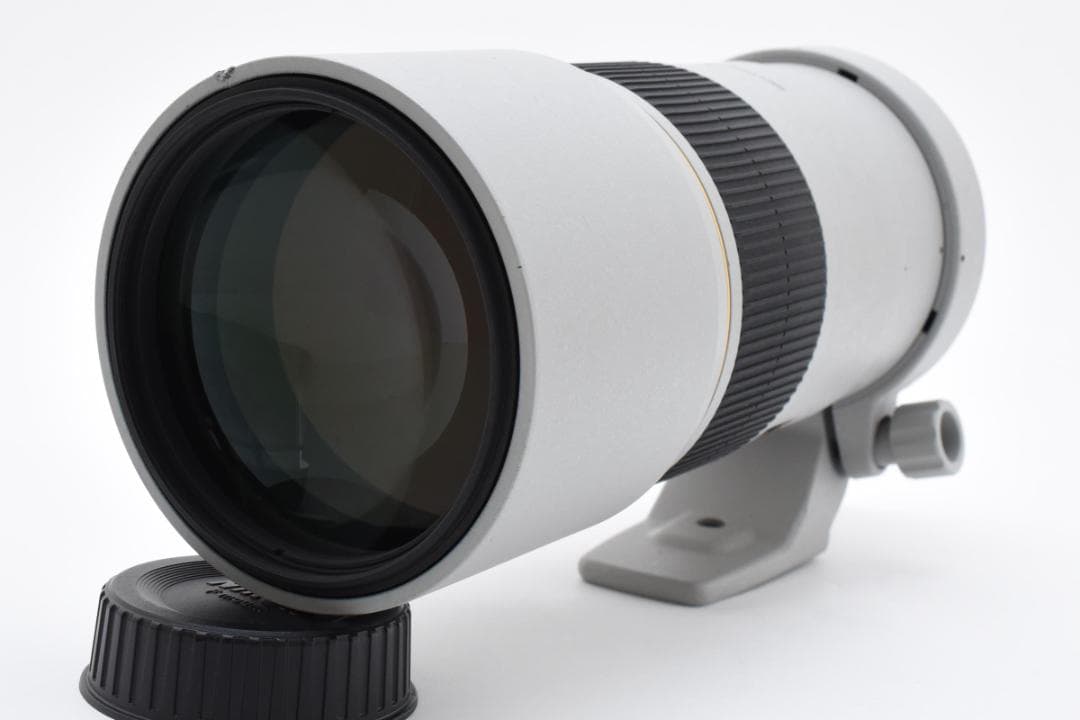 NIKON AF-S NIKKOR 300mm F4D IF-EDレンズ#333