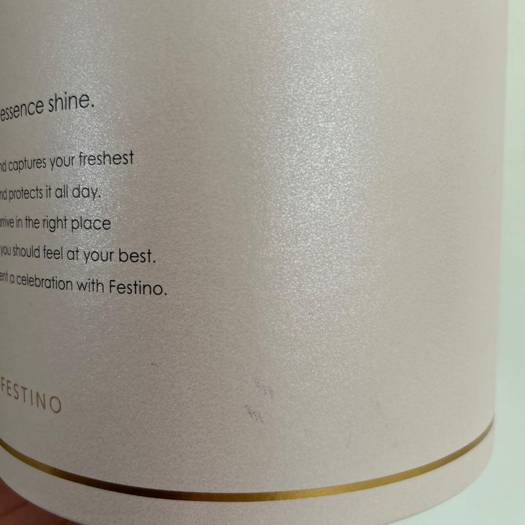 新品未使用　FESTINO フェイシャルモイストナノスチーマー