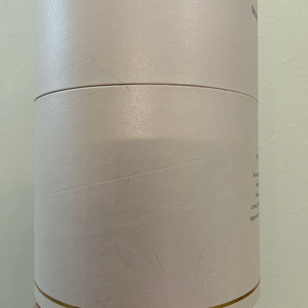 新品未使用　FESTINO フェイシャルモイストナノスチーマー