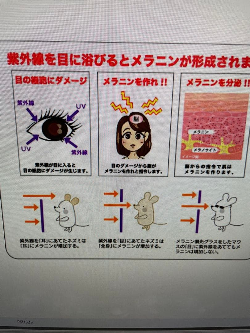 Prince メラニン偏光サングラス マゼンタ PSU333