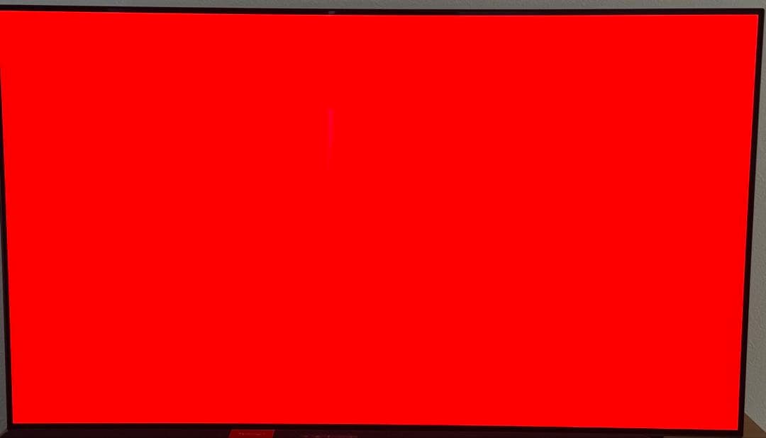 【最終値下げ】2021年モデル-LG有機ELテレビ55インチ