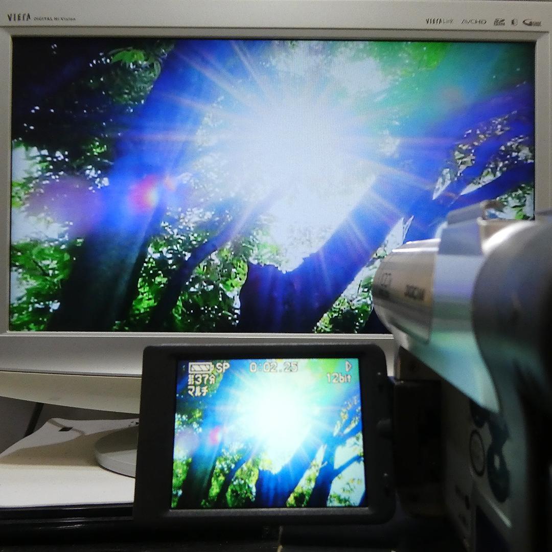 動作良好 パナソニック NV-GS50　MiniDV ビデオ ダビングに最適 !