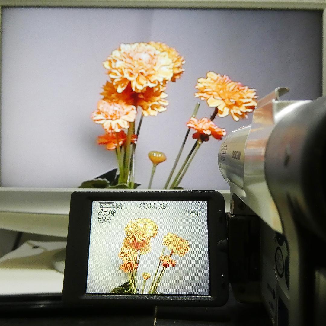 動作良好 パナソニック NV-GS50　MiniDV ビデオ ダビングに最適 !