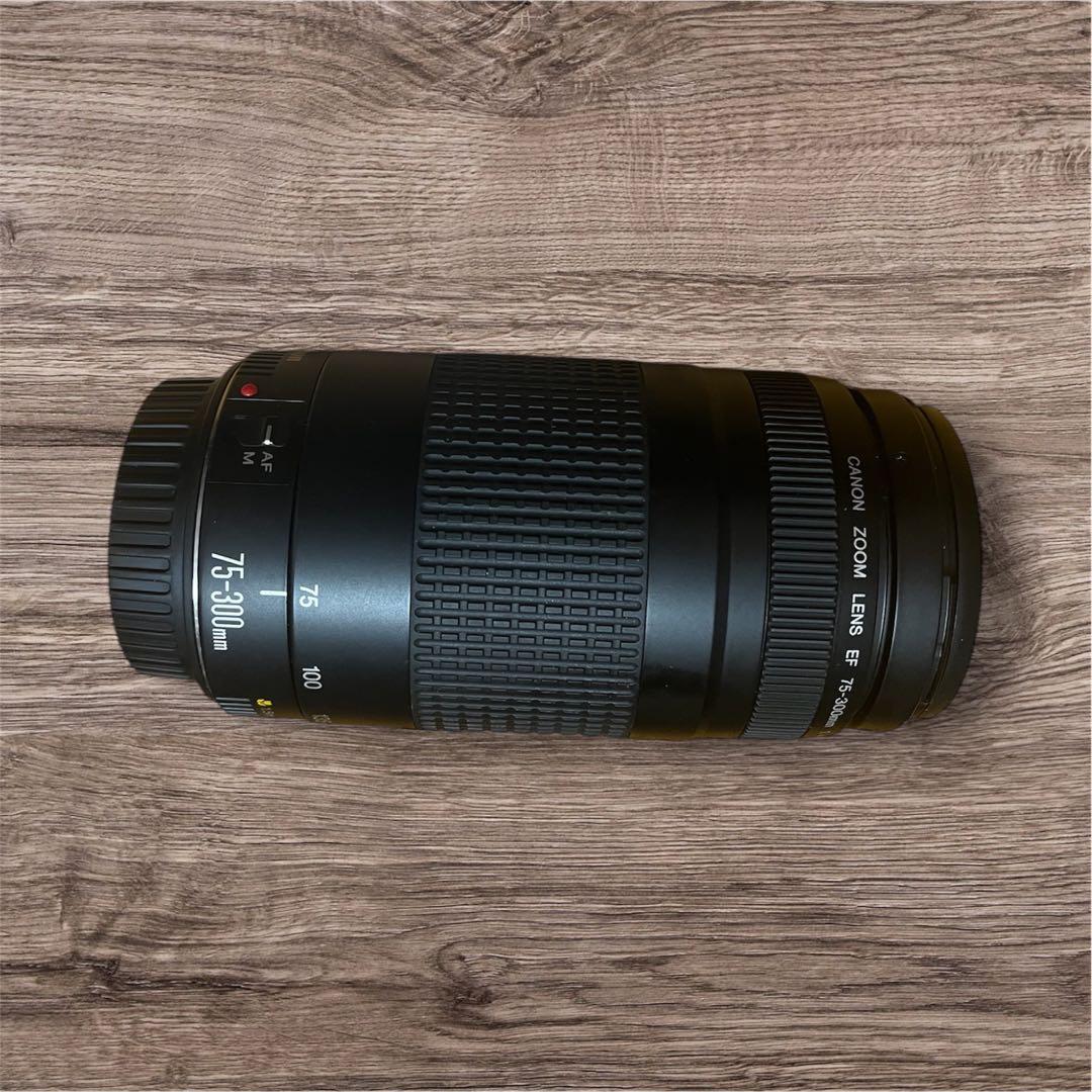 Canon EOS 一眼レフ(フィルムカメラ)