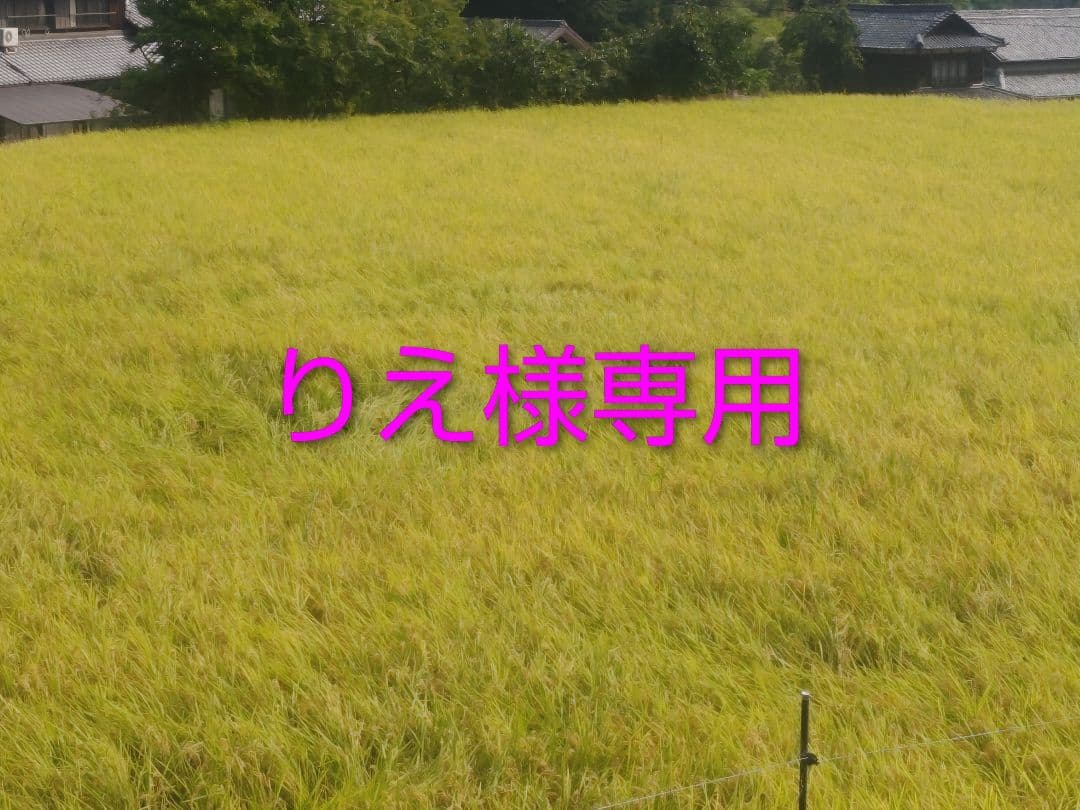 りえ　コシヒカリ23キロ