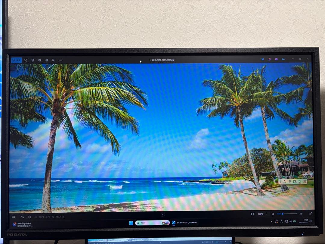 IODATA　DIOS-LDH241DB-B [23.8インチ ブラック]