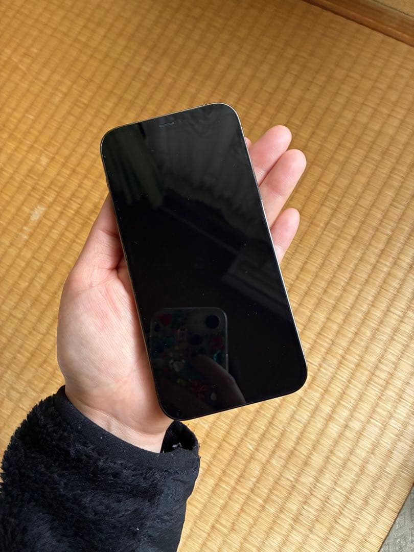 iPhone 12 Pro 256GB グラファイ　SIMフリー