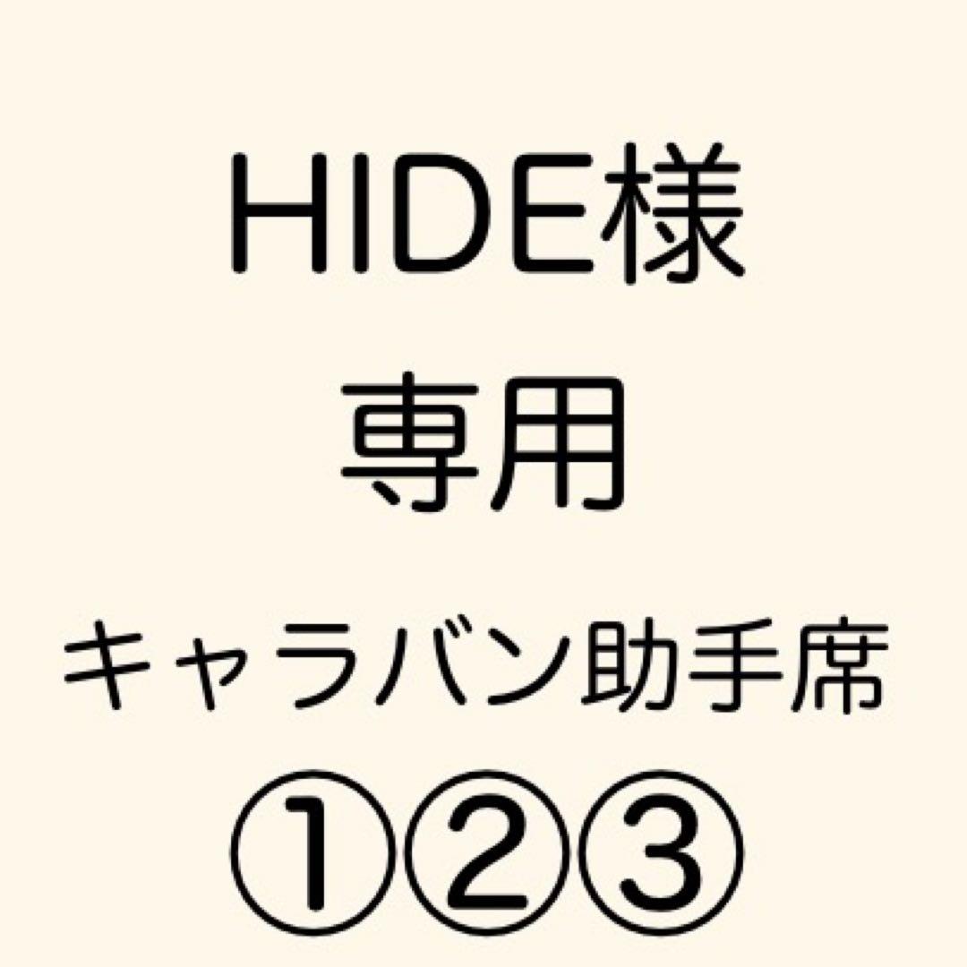 [専用出品]HIDE