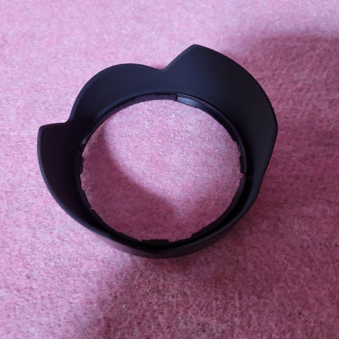 美品　SONY SEL2070G FE 20-70mm F4 G　フィルター付き