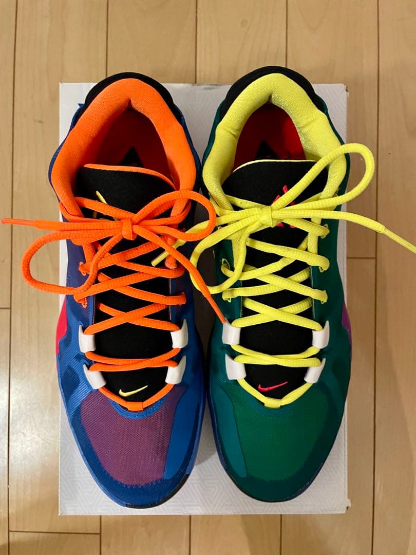 NIKE、ズームフリーク1、29センチ