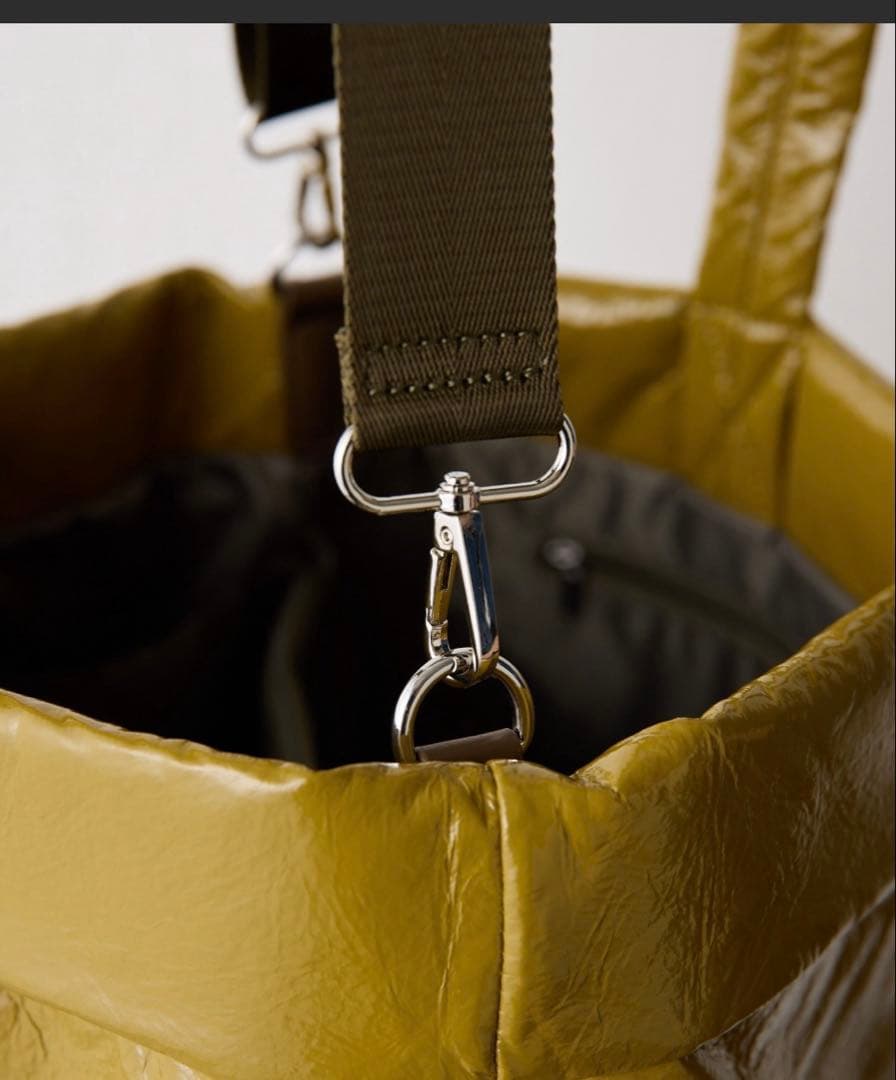 ear PAPILLONNER パテントート