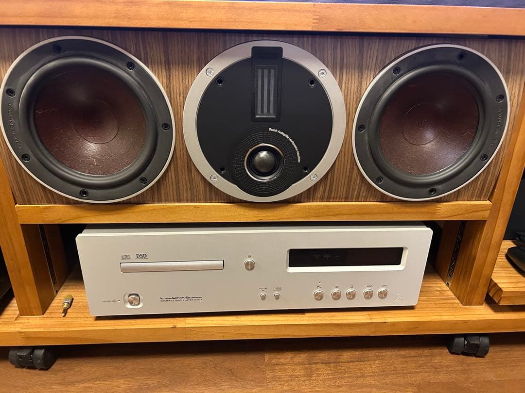 週末最終お値引きDALI RUBICON VOKAL センタースピーカー