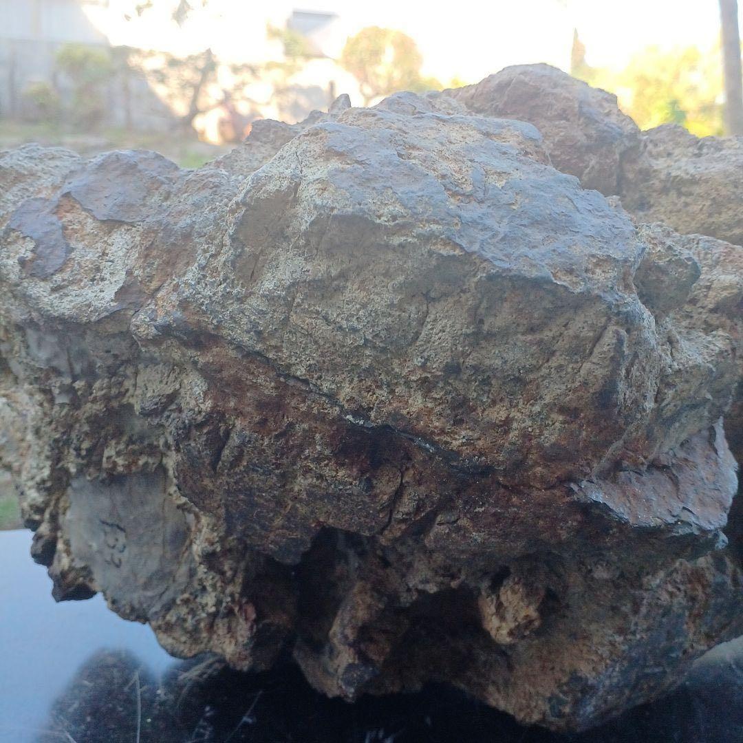 根尾谷産菊花石　　(銘) 神代菊　約12キロ