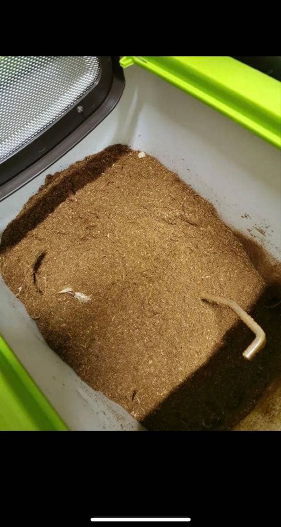 自然にカエル 生ゴミ処理気 エコクリーン