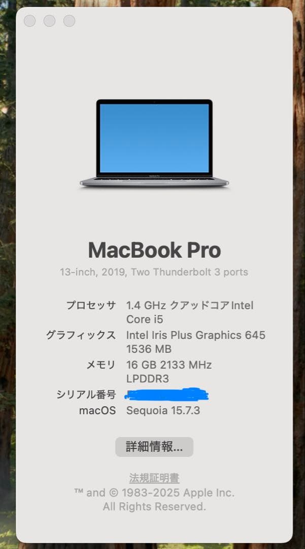 MacBook Pro 13インチ 2019 メモリ16GB/512GB