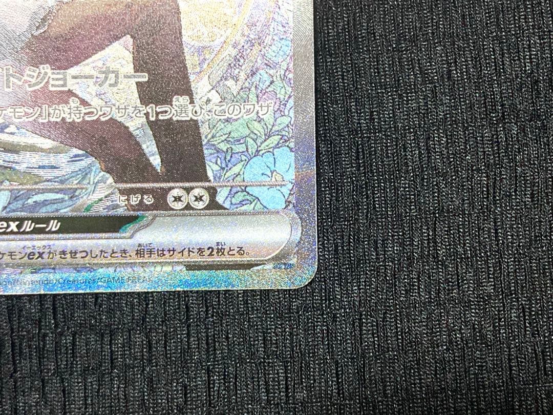 Nのゾロアークex SAR & ダイゴのメタグロスex SAR 2枚セット！