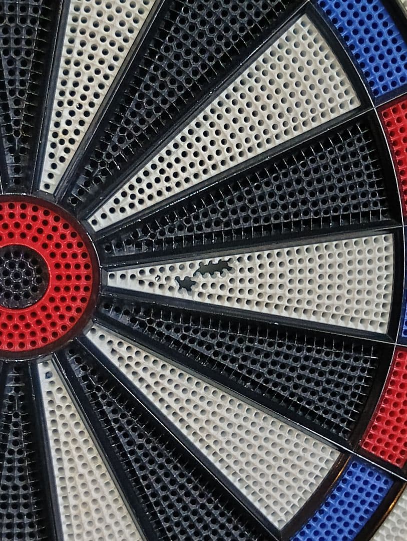 （値下げ）DARTSLIVE 200S ダーツボード