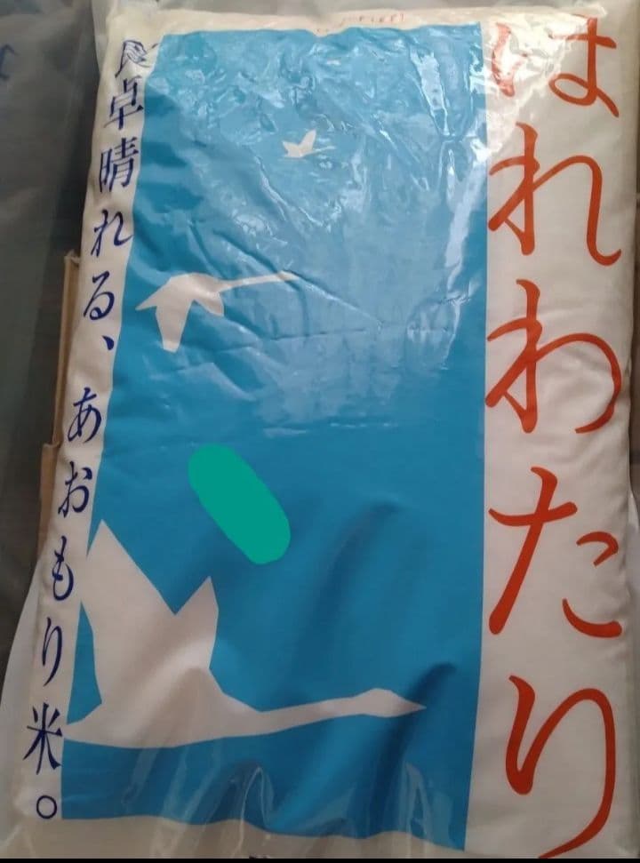 青森県産　はれわたり 10kg 【訳ありです！】令和7年9月上旬精米