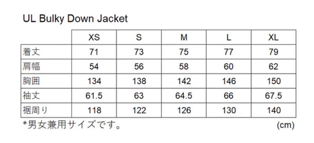 ALLIED FEATHER ダウンジャケット最強極暖850FP