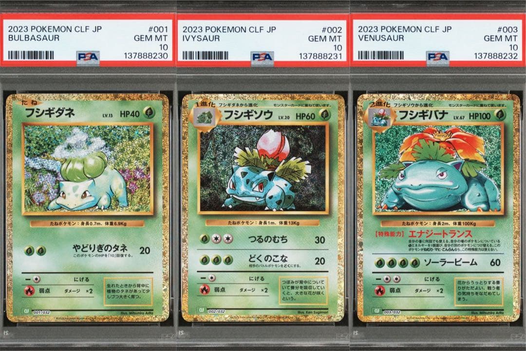 PSA10 フシギダネ フシギソウ フシギバナ 御三家 ポケモン　クラシック