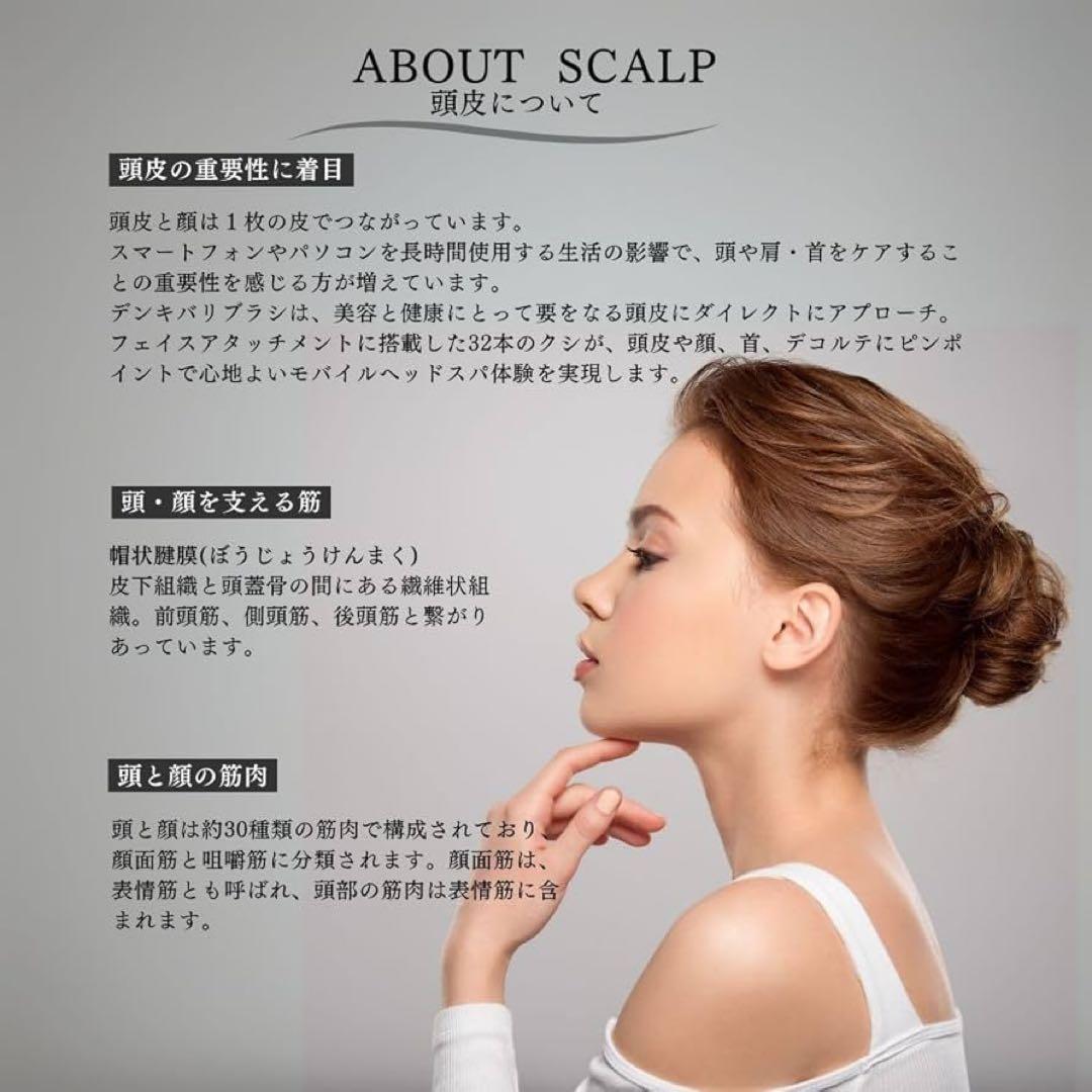 【美品】電気バリブラシ エレクトロン 美顔器 エレクトリックバリブラシ ブラック