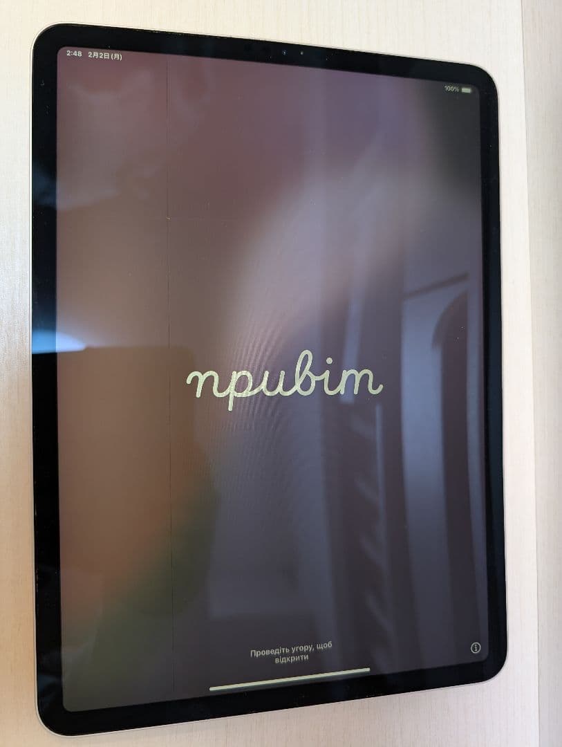 【*✨様 iPad Pro 11インチ（第1世代）64GB シルバー Wi-Fi