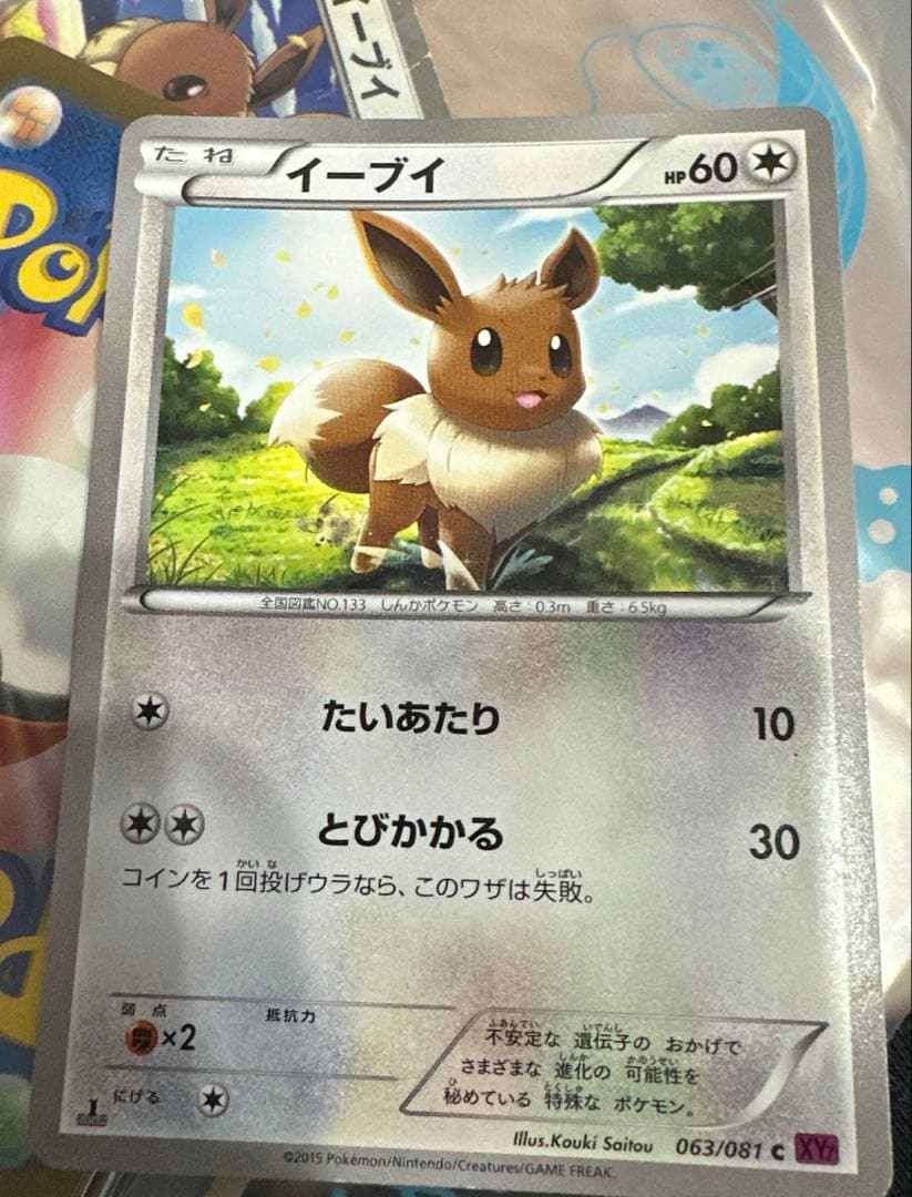 イーブイ ポケモンカード セット　計14枚
