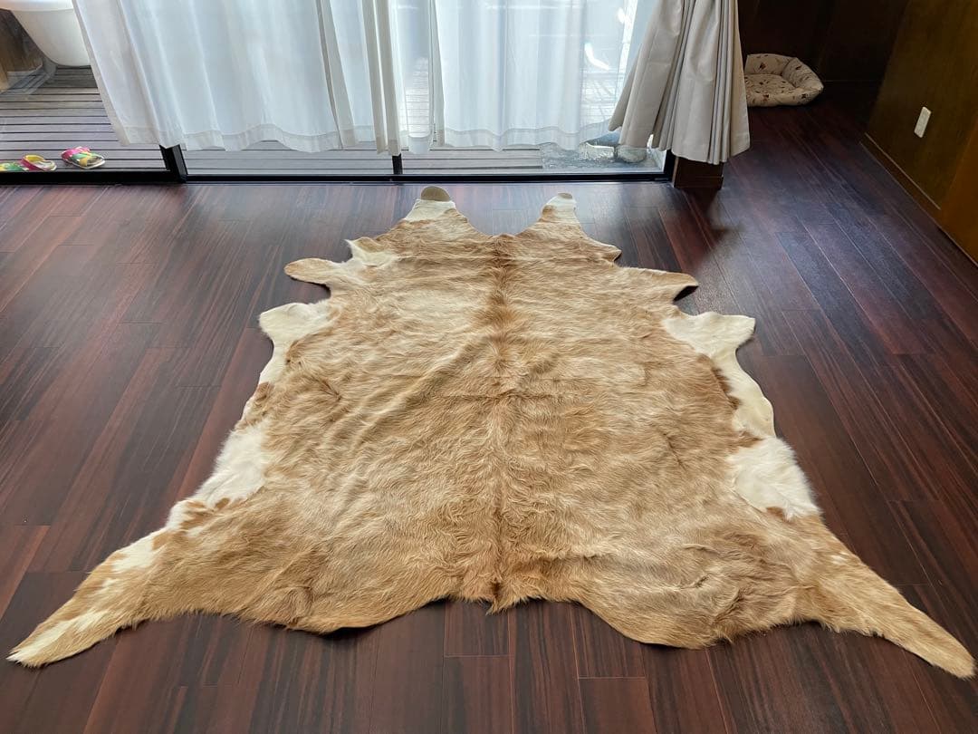 売り切り価格！　牛毛付き革 カウラグ カウハイド