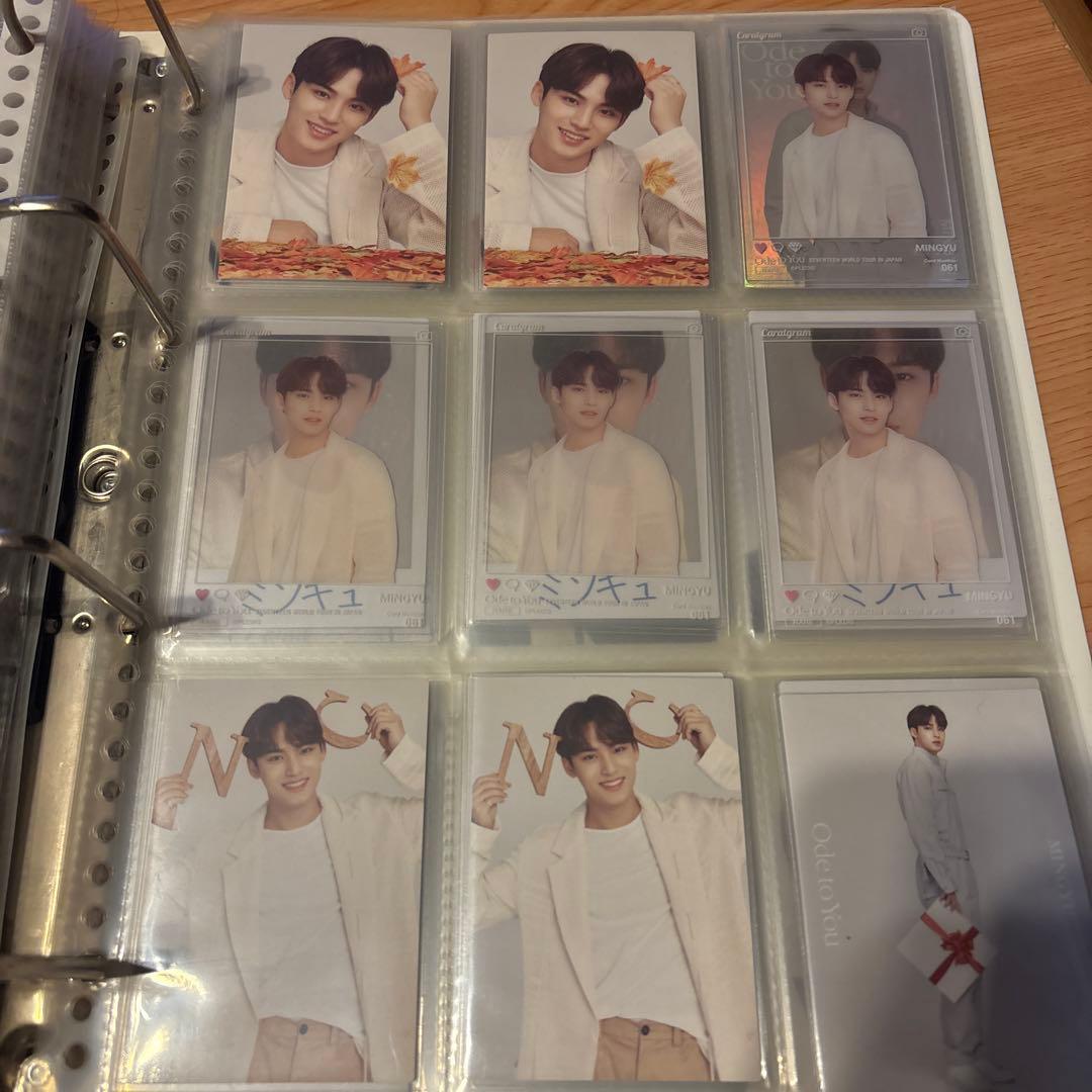 SEVENTEENミンギュトレカ