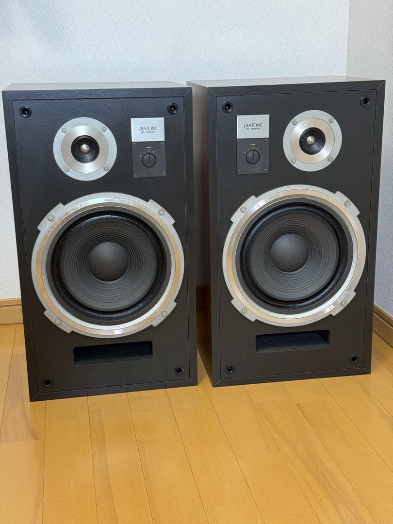 DIATONE DS-25B MKⅡ スピーカー 昭和ヴィンテージ
