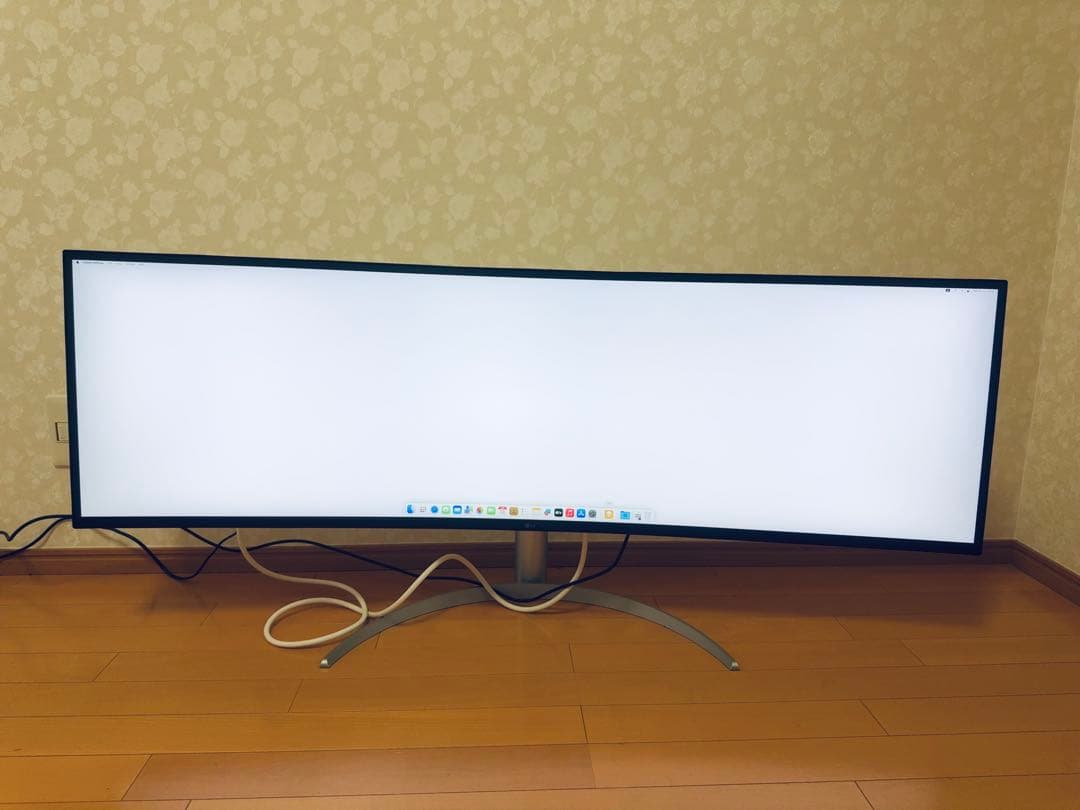 LGエレクトロニクス49WQ95C-W [49インチ]モニター中古品