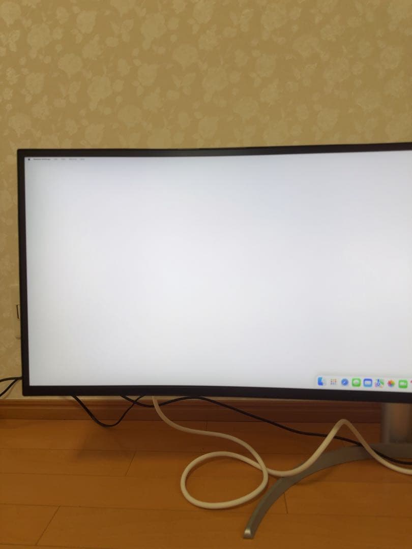 LGエレクトロニクス49WQ95C-W [49インチ]モニター中古品