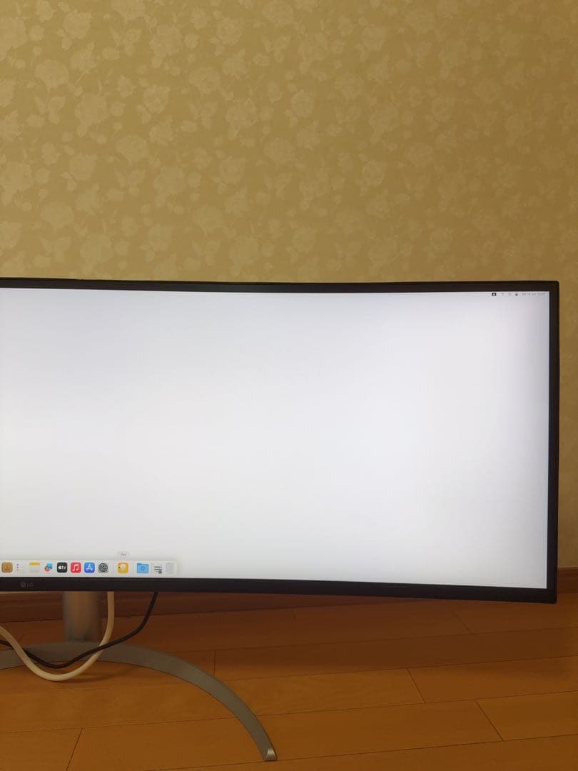 LGエレクトロニクス49WQ95C-W [49インチ]モニター中古品