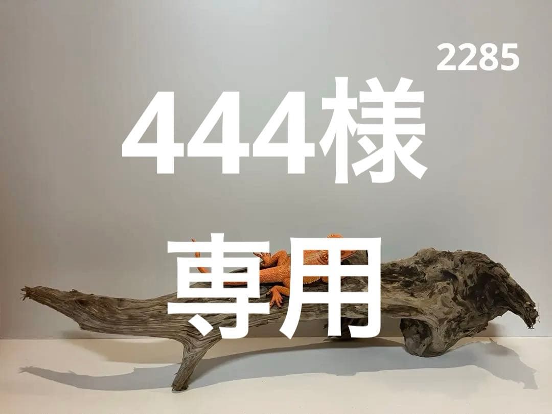 444様 リクエスト 3点 まとめ商品