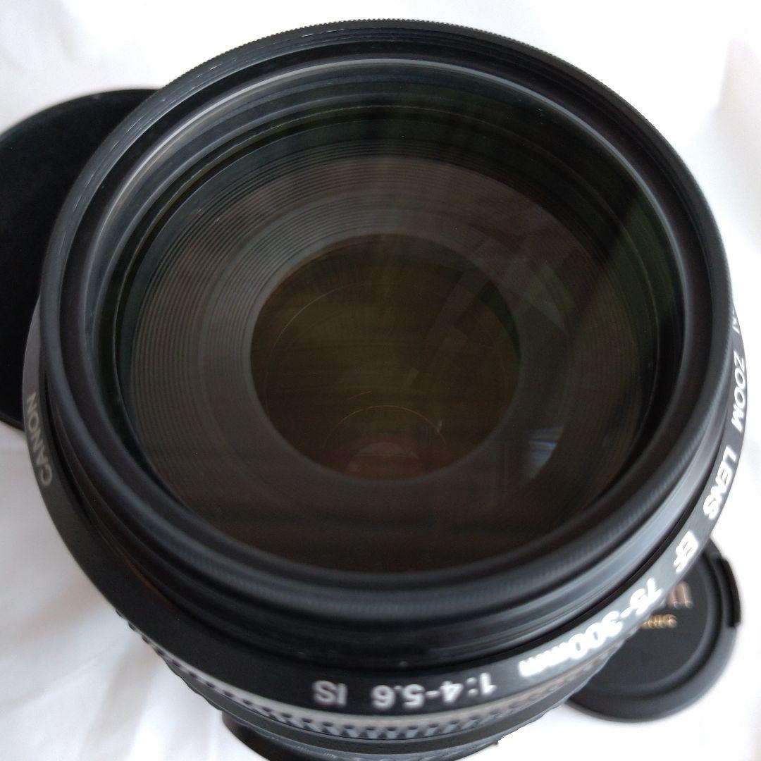 Canon EF 75-300mm F4-5.6 IS USM ズームレンズ